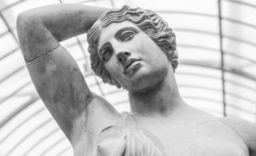The quest for a hair loss “cure”