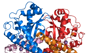 Superoxide Dismutase (SODS)