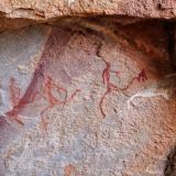 Hair Loss from Cavemen to Hair Cloning