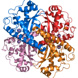 Superoxide Dismutase (SODS)